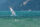 Preview: Windsurfer auf dem See vor den Bergen